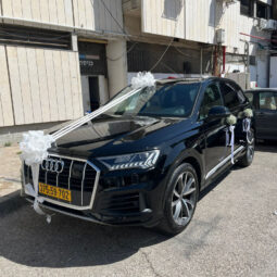 קישוט רכב משולב