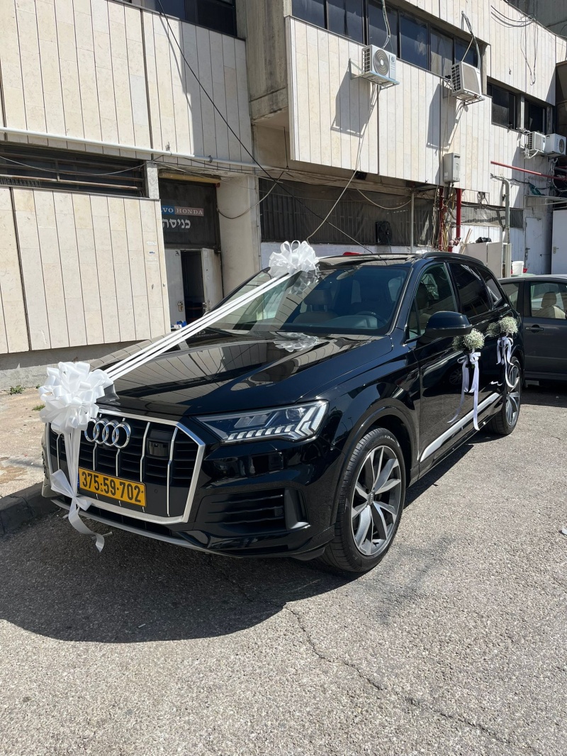 קישוט רכב משולב קישוט רכב משולב