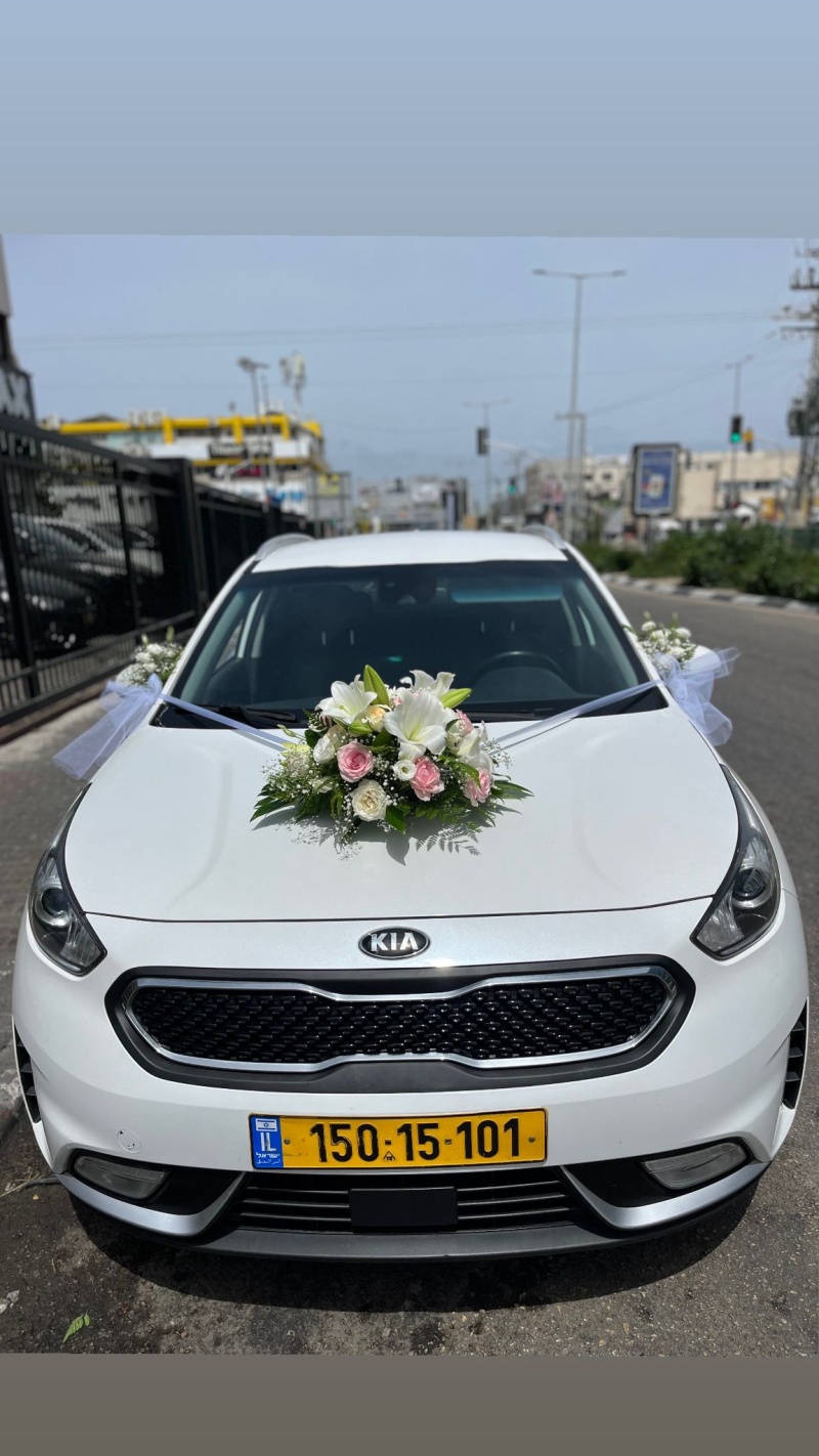 חתונת השנה חתונת השנה