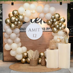 קיר בלונים פריז